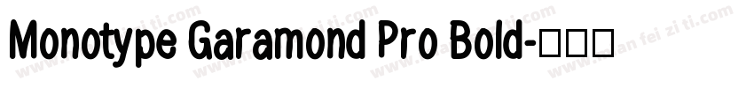 Monotype Garamond Pro Bold字体转换